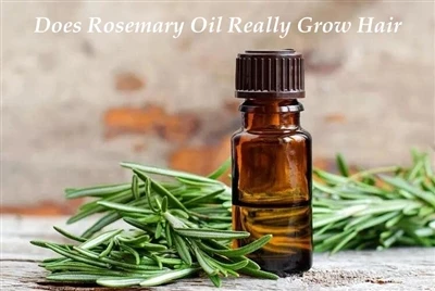 An bhFásann Rosemary Oil i ndáiríre Buntáistí agus Leideanna Gruaige Bunaithe...
